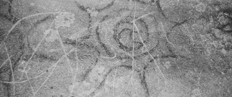 Jan Simek / Antiquity Publications LTD