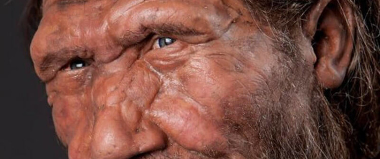 © Trustees of the Natural History Museum, London 2014