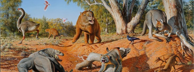 This is a menagerie of megafauna that inhabited Australia some 45,000 years ago.