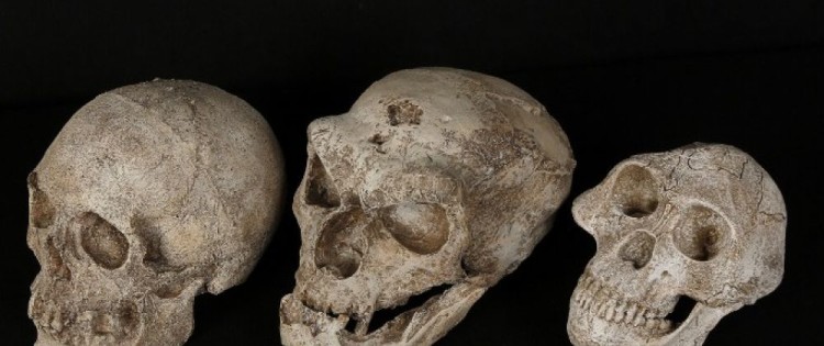 cover-r4x3w1000-58c7d5b14ac9c-058-1933864