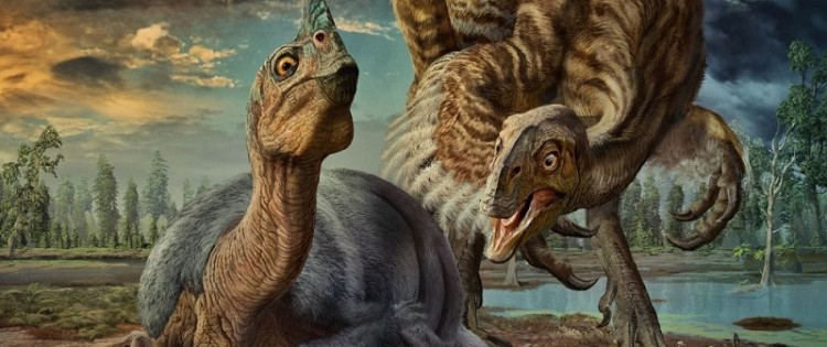 The fossil embryo was found to be part of a group of six to eight eggs.
ZHAO CHUANG