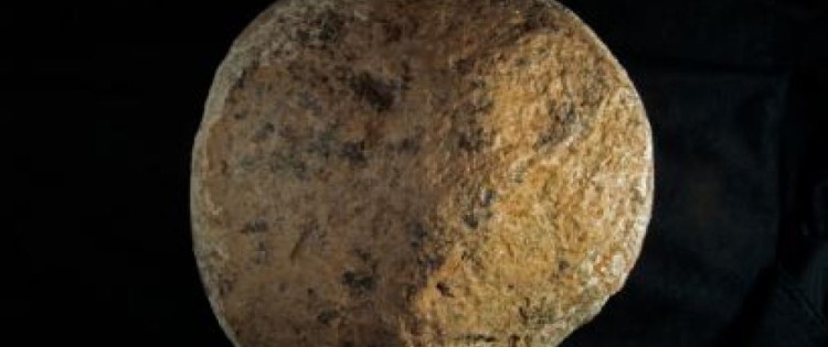 This pebble found in San Diego, California, may have been used by humans to break the bones of a mastodon 130,000 years ago. 
CREDITS: TOM DEMERE / SAN DIEGO NATURAL HISTORY MUSEUM