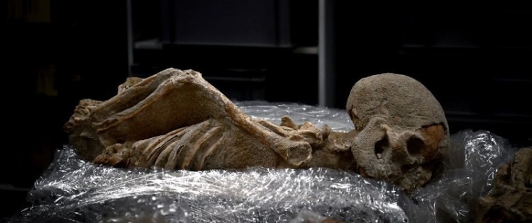 The human skeletons were transferred to a laboratory of the American School of Archeology in Athens, July 7, 2017