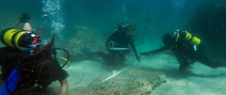 cover-r4x3w1000-59ad60282d616-000-s00sh