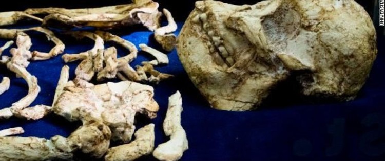 The Little Foot Australopithecus, 3.67 million years old, found in South Africa.
UNIVERSITY OF THE WITWATERSRAND