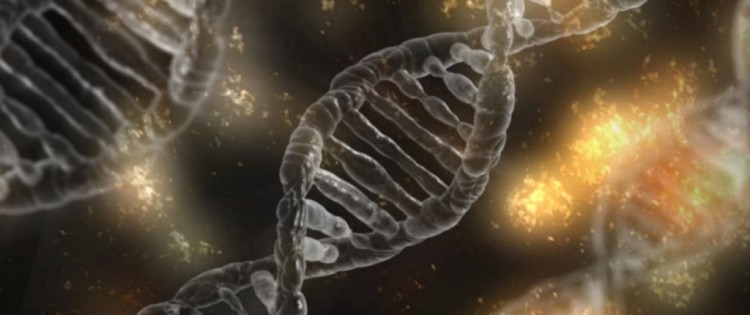 dna-1903318_1280-1024x576