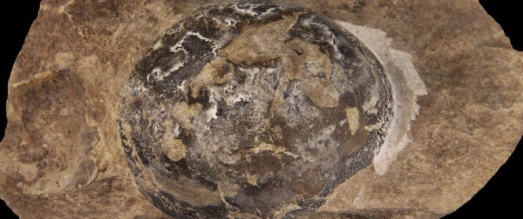 cover-r4x3w1000-5ee8854821ad3-234761