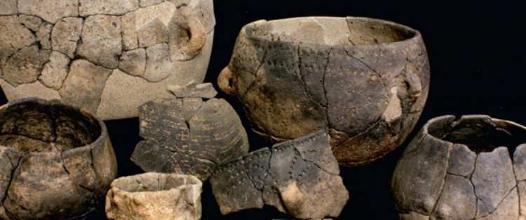 cover-r4x3w1000-5ed05ea46243d-l-analyse-moleculaire-de-residus-alimentaires-trouves