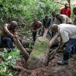 cover-r4x3w1000-5f216e512f98d-les-monolithes-sont-souvent-difficiles-d-acces-au-coeur