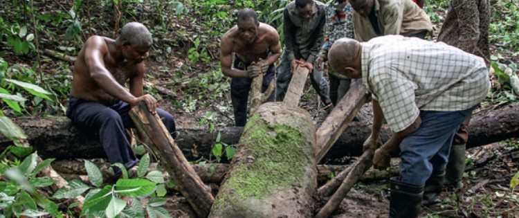 cover-r4x3w1000-5f216e512f98d-les-monolithes-sont-souvent-difficiles-d-acces-au-coeur