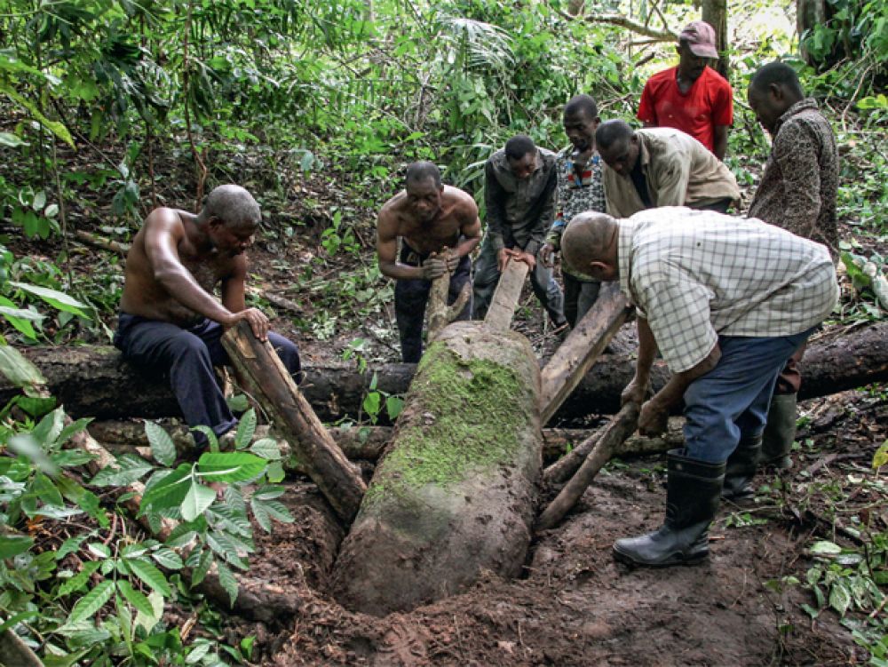 cover-r4x3w1000-5f216e512f98d-les-monolithes-sont-souvent-difficiles-d-acces-au-coeur